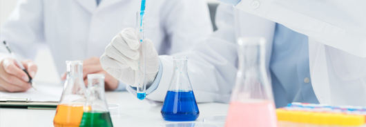 选择开云体育的理由